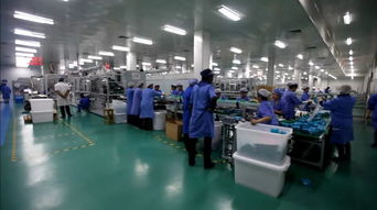 融會貫通 工廠車間6S管理與酒店管理的協同之道